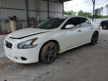  Salvage Nissan Maxima