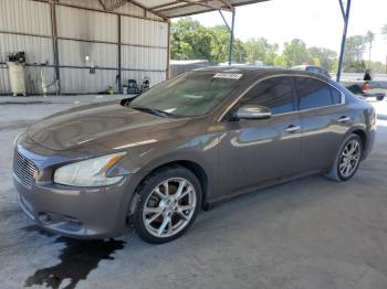  Salvage Nissan Maxima