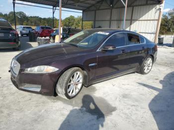  Salvage Jaguar XF