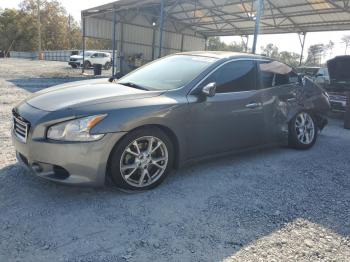  Salvage Nissan Maxima