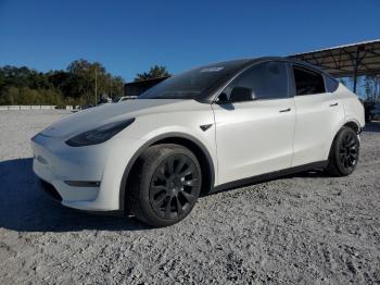  Salvage Tesla Model Y