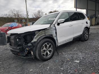  Salvage Kia Telluride