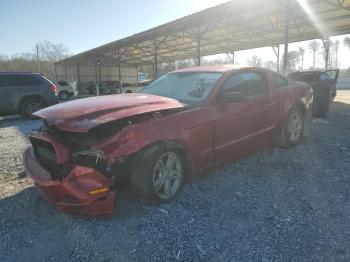  Salvage Ford Mustang