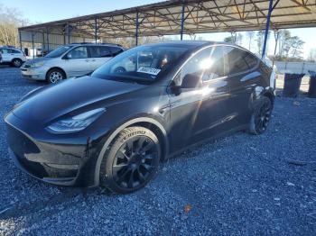  Salvage Tesla Model Y