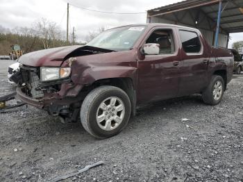  Salvage Honda Ridgeline