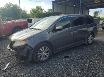  Salvage Honda Odyssey