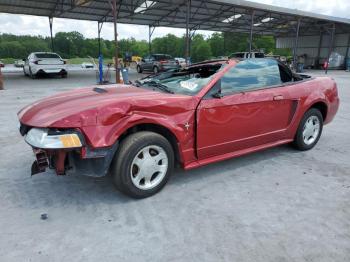  Salvage Ford Mustang