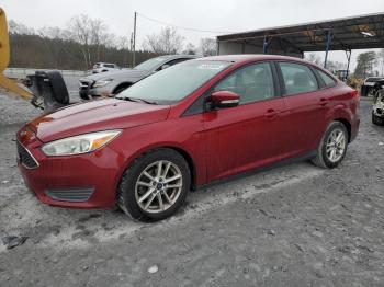  Salvage Ford Focus