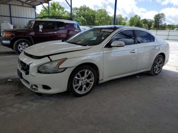 Salvage Nissan Maxima