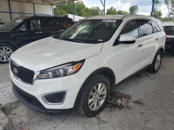  Salvage Kia Sorento