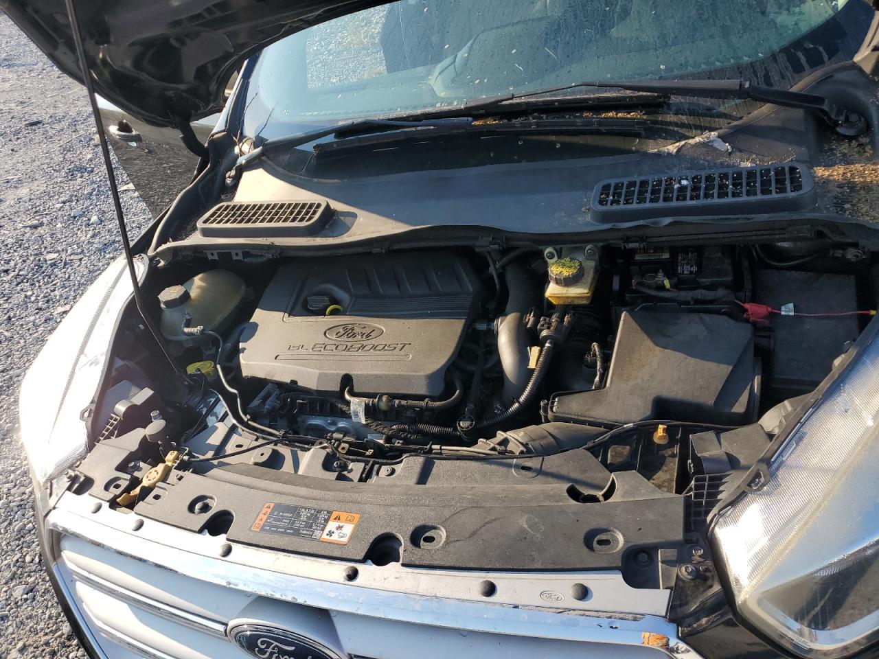 Ford Escape Se Image 9