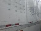 Great Dane Other Image 4
