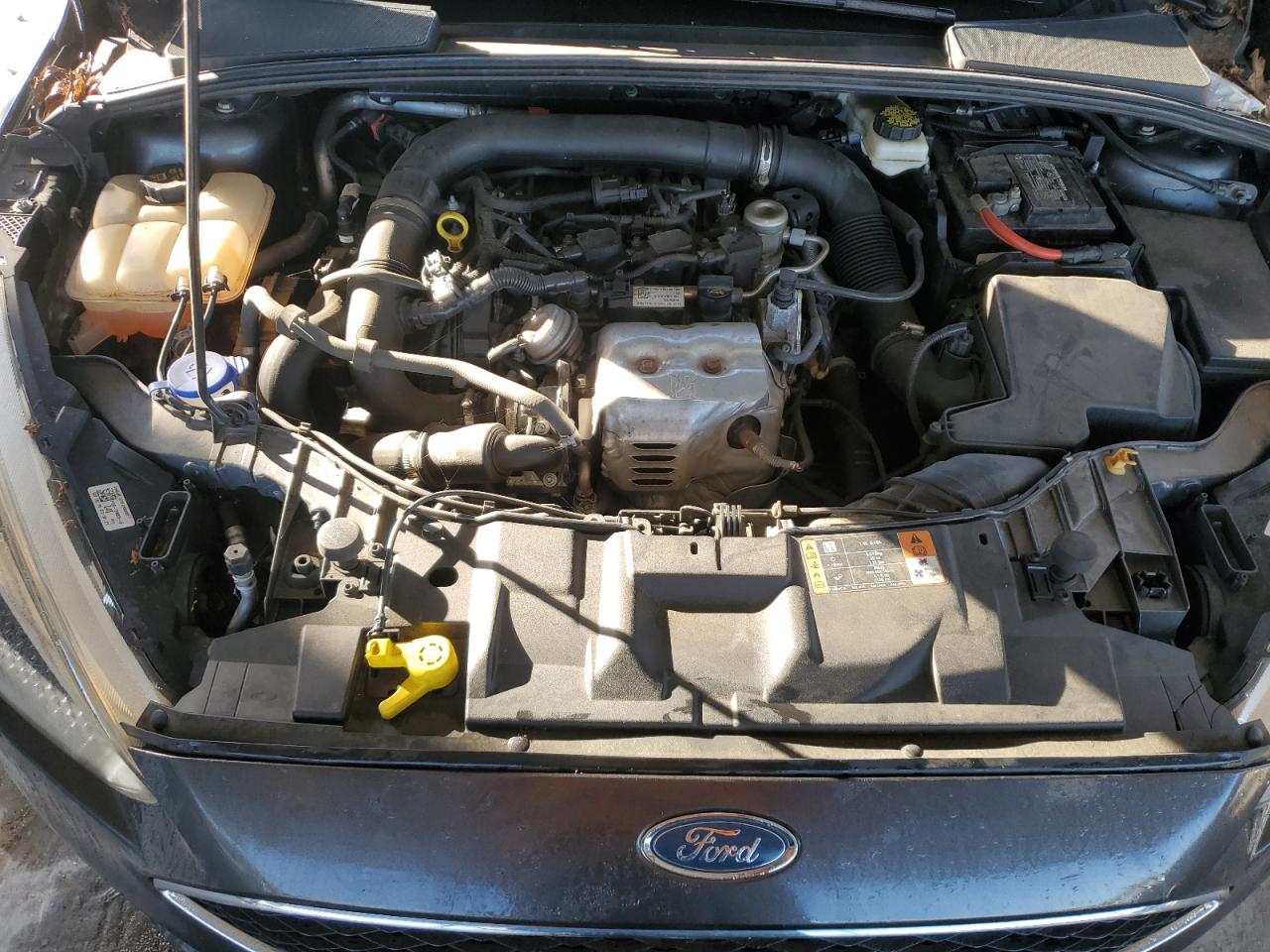 Ford Focus Se Image 11