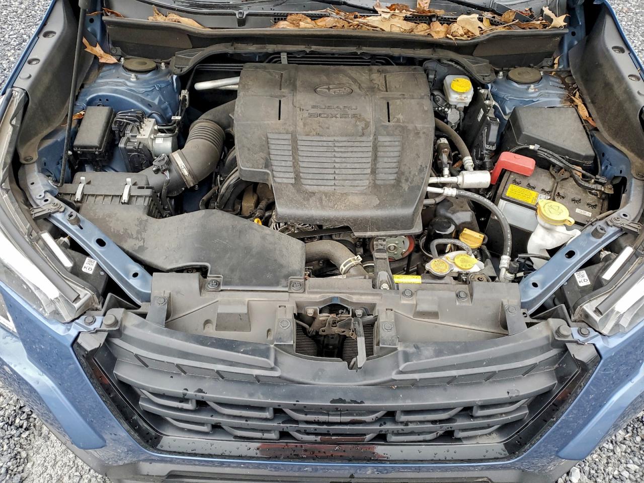 Subaru Forester Premium Image 8