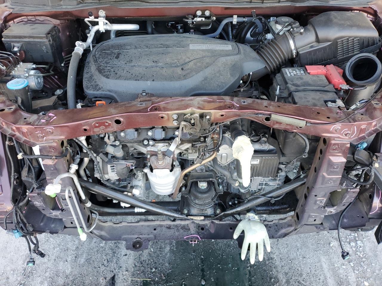 Honda Odyssey Exl Image 6