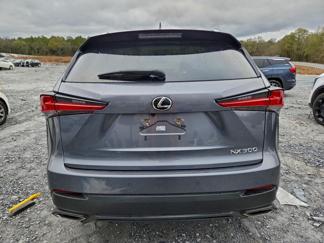 Lexus NX 300 Image 4