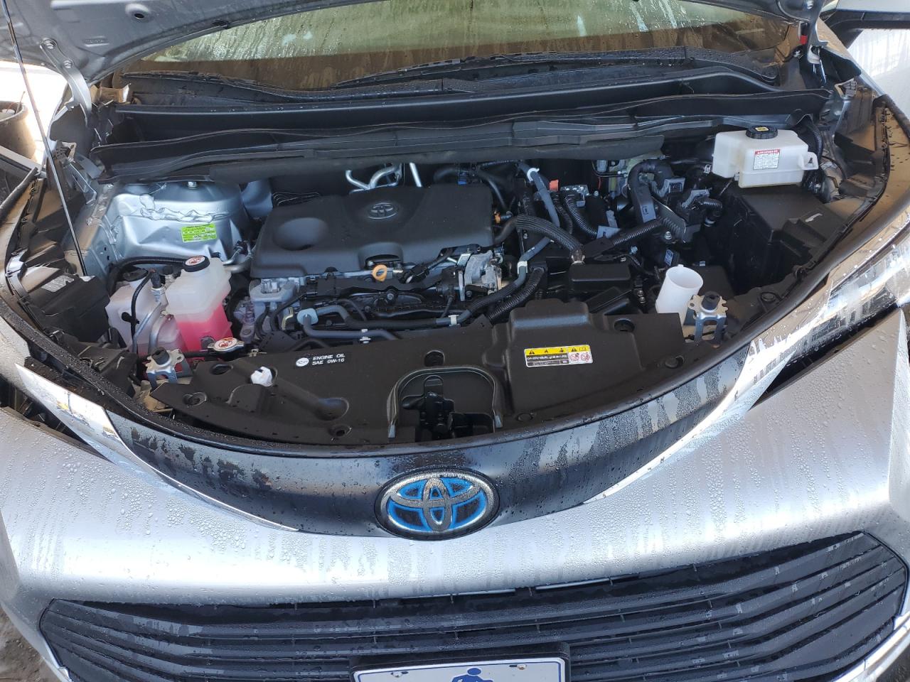 Toyota Sienna Xle Image 5