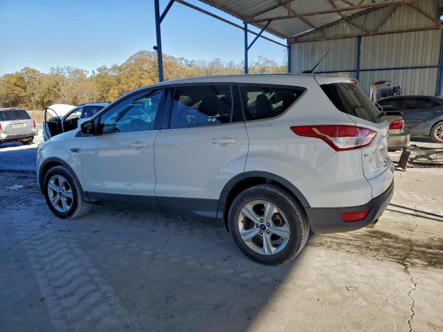 Ford Escape Se Image 5