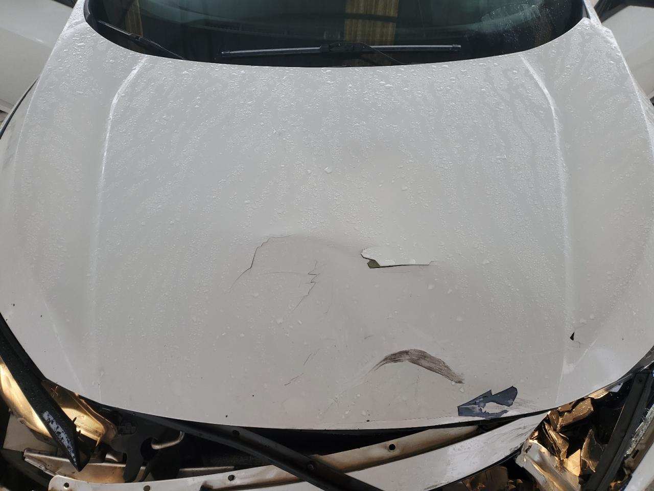 Honda Civic Sport Image 10