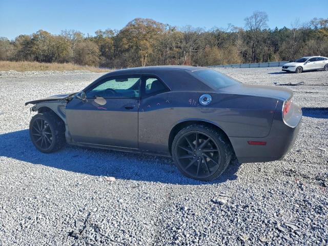 Dodge Challenger Sxt Image 2