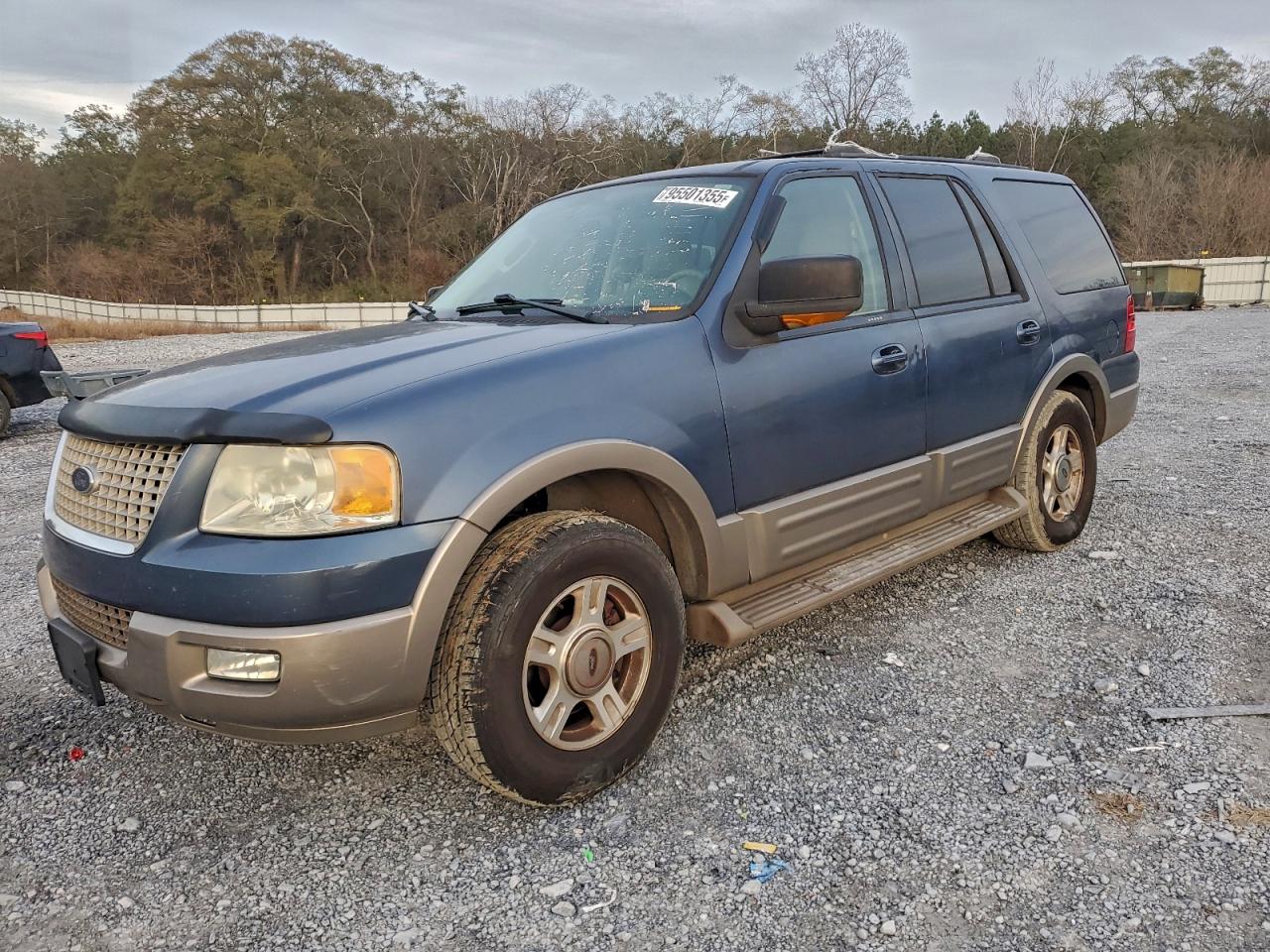 Ford Expedition Eddie Bauer Image 1