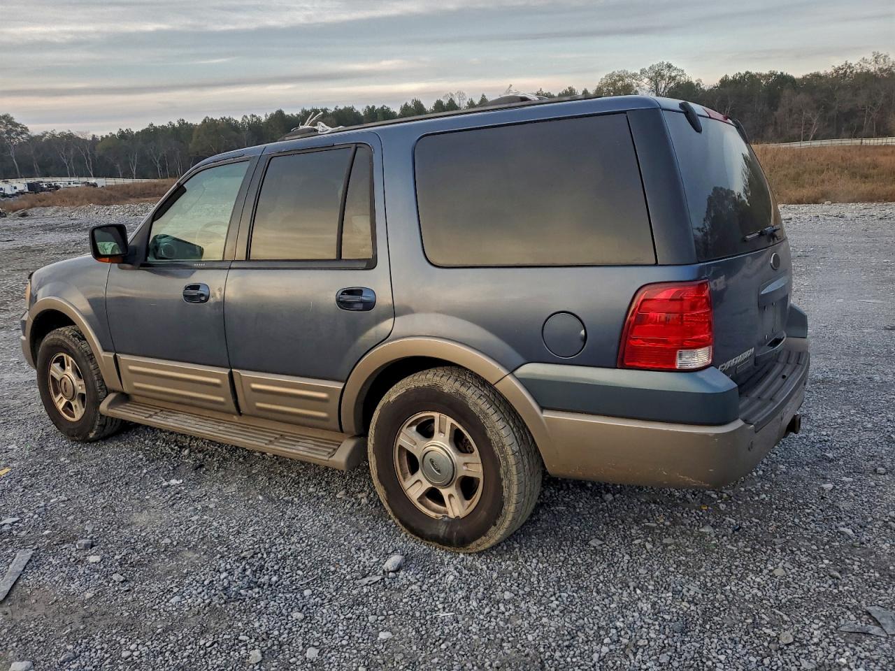 Ford Expedition Eddie Bauer Image 8