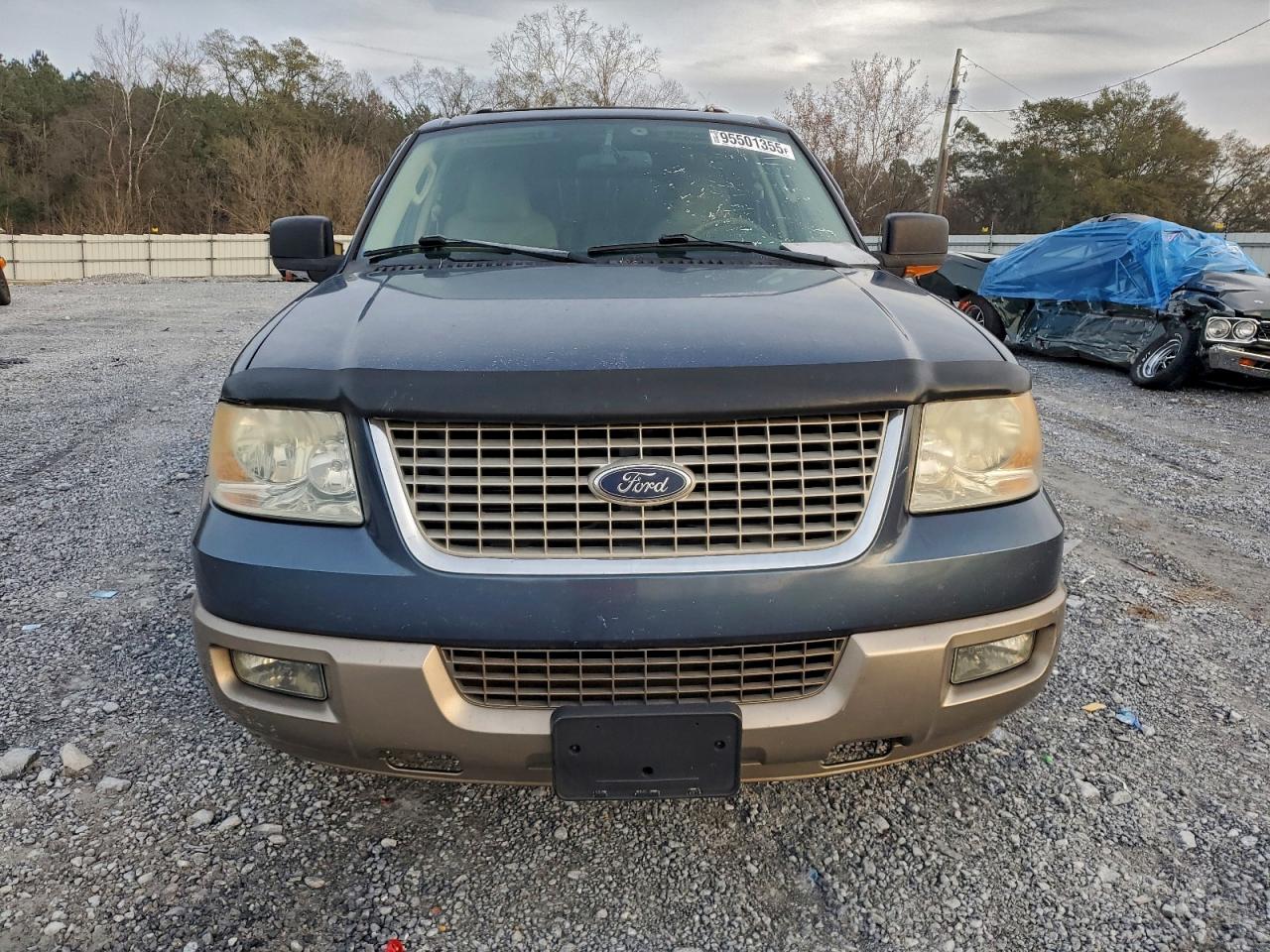 Ford Expedition Eddie Bauer Image 10