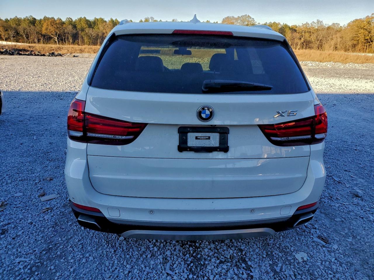 BMW X Series Xdr40e Image 4