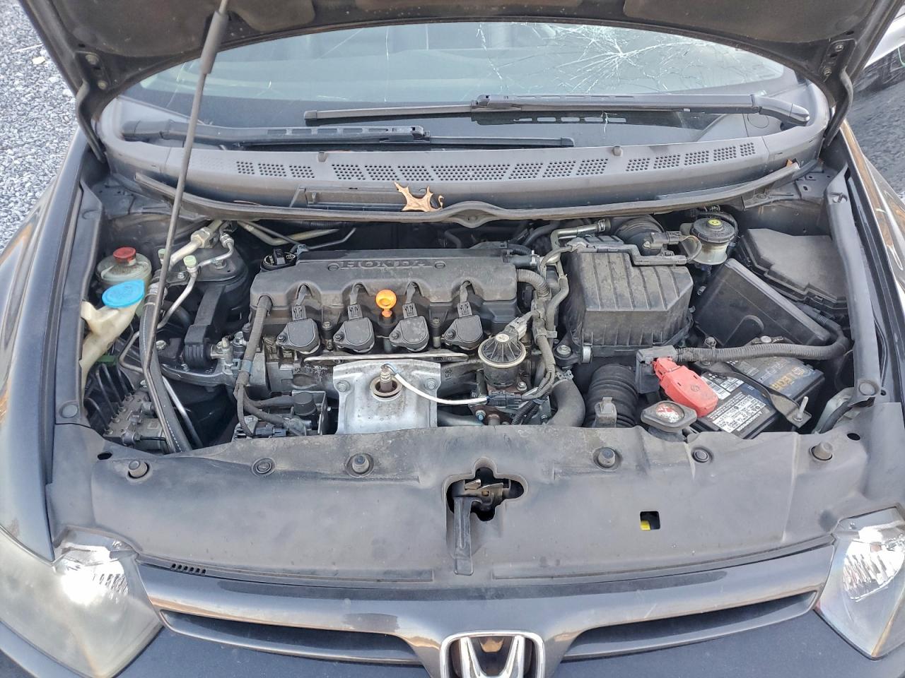 Honda Civic Exl Image 6