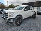 Ford F-150 Supercrew Image 1