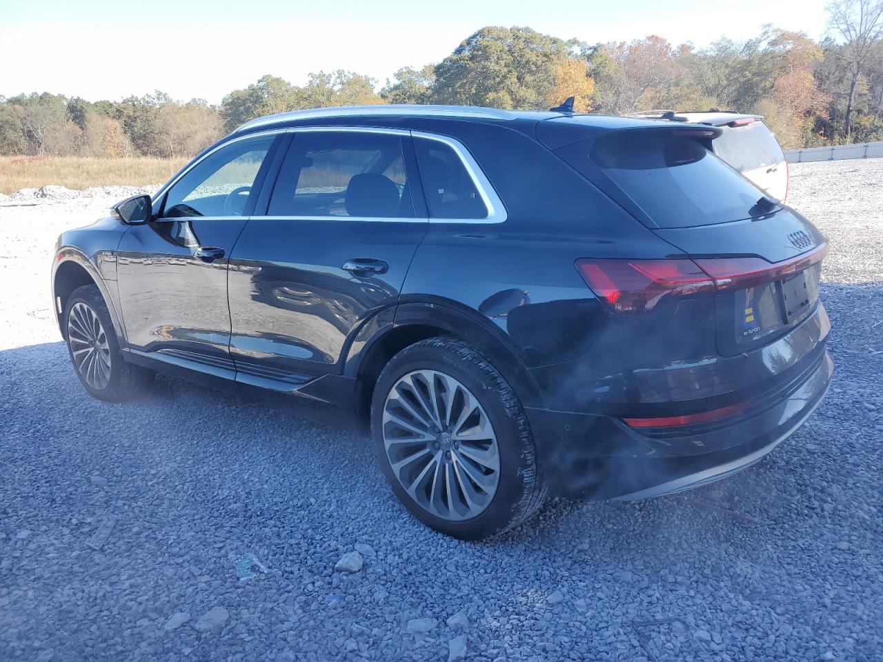 Audi e-tron Prestige Image 4