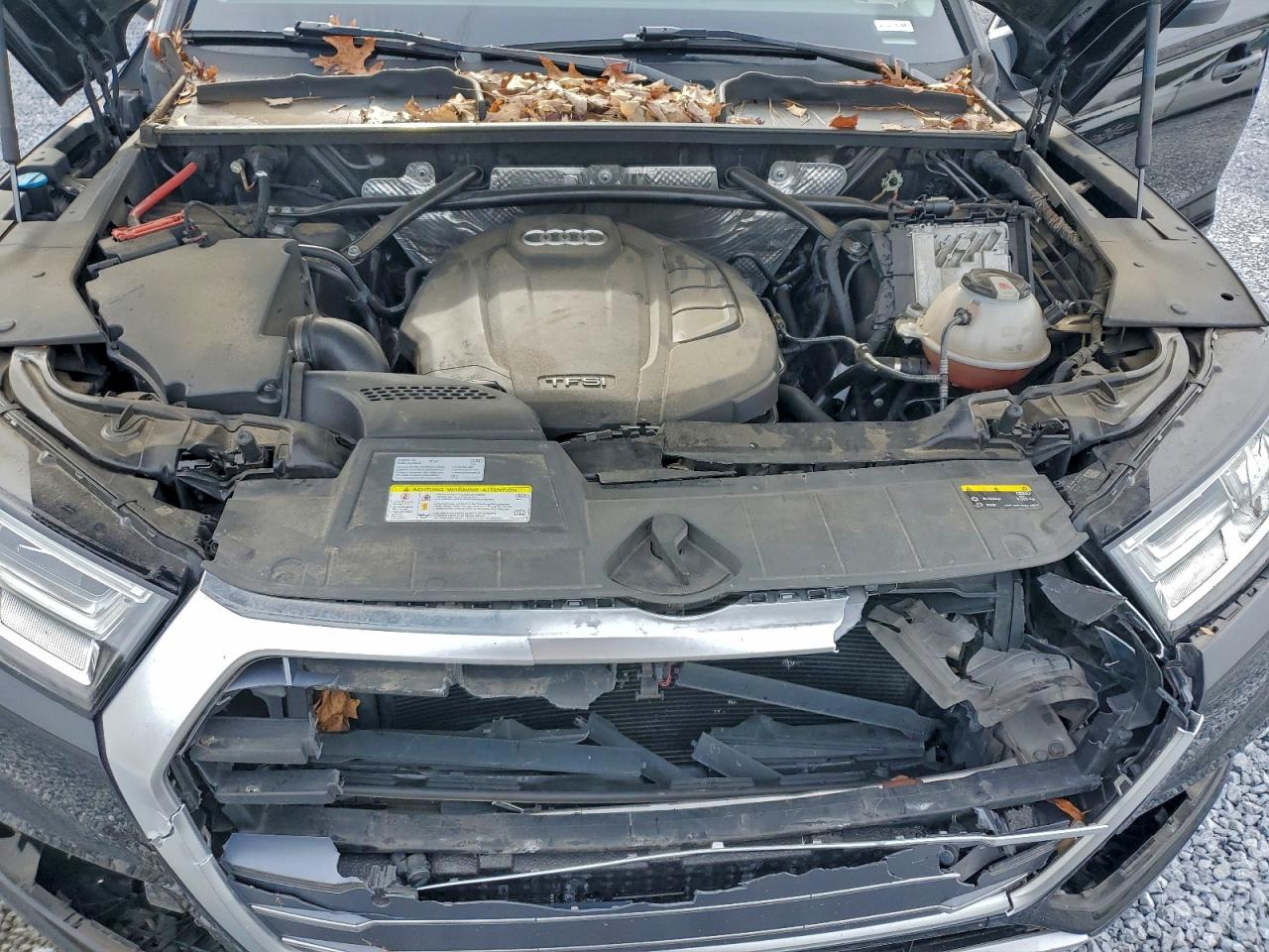 Audi Q5 Premium Plus Image 7