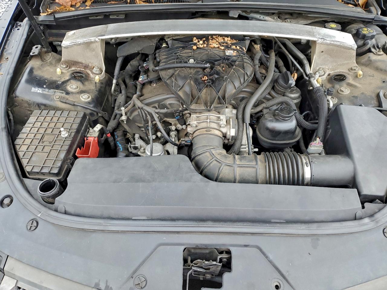 Cadillac CTS Luxury Collection Image 10