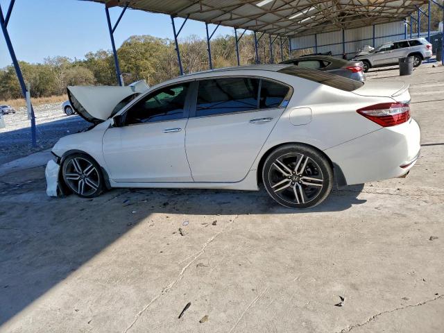 Honda Accord Sport Image 6