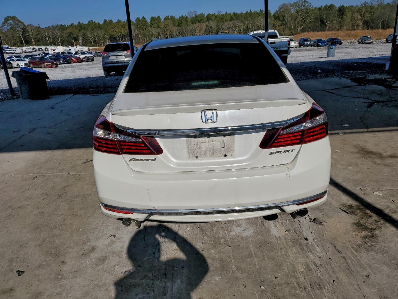 Honda Accord Sport Image 7