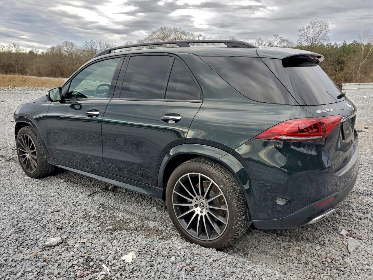 Mercedes-Benz GLE 350 Image 10