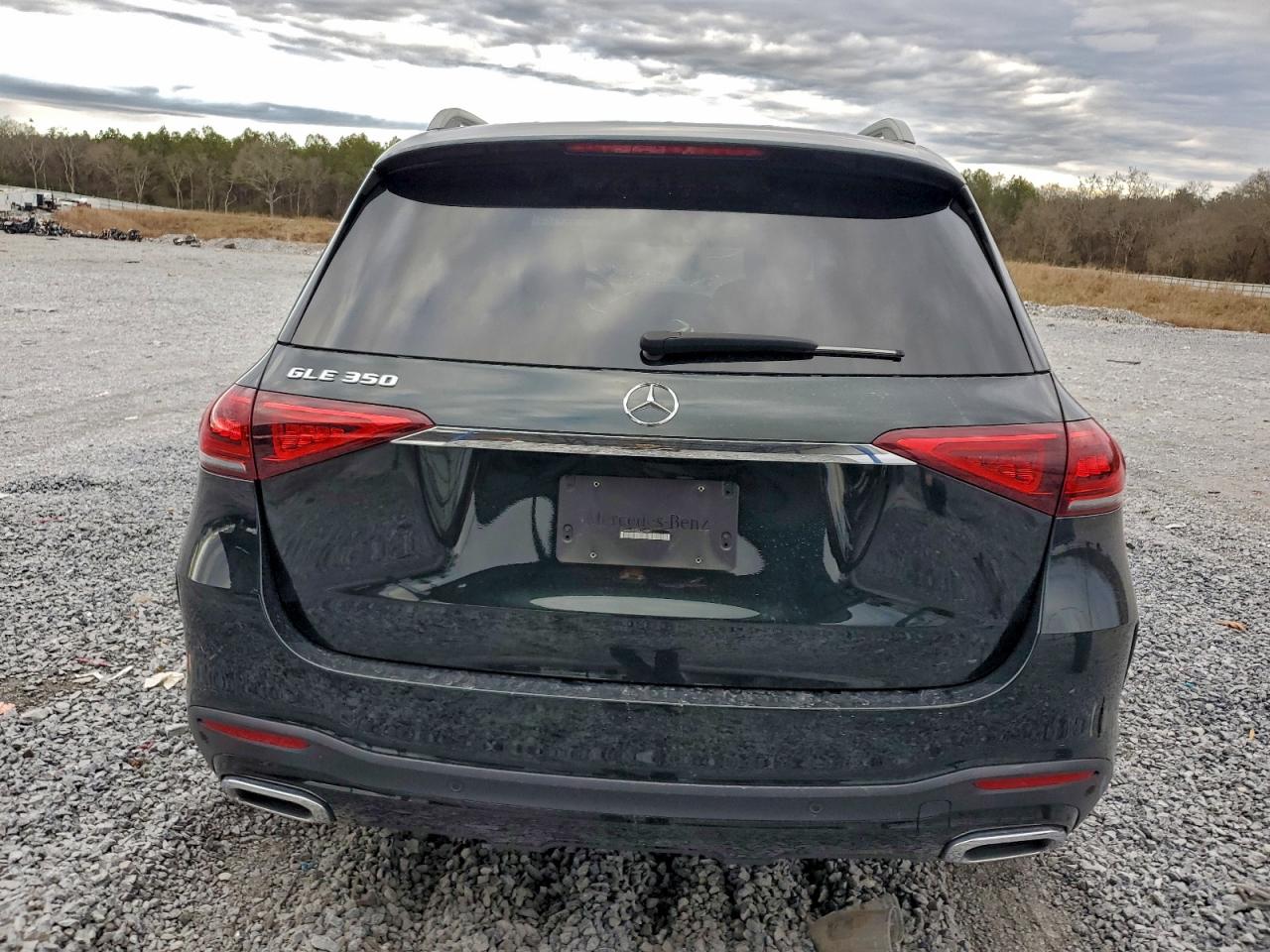 Mercedes-Benz GLE 350 Image 6