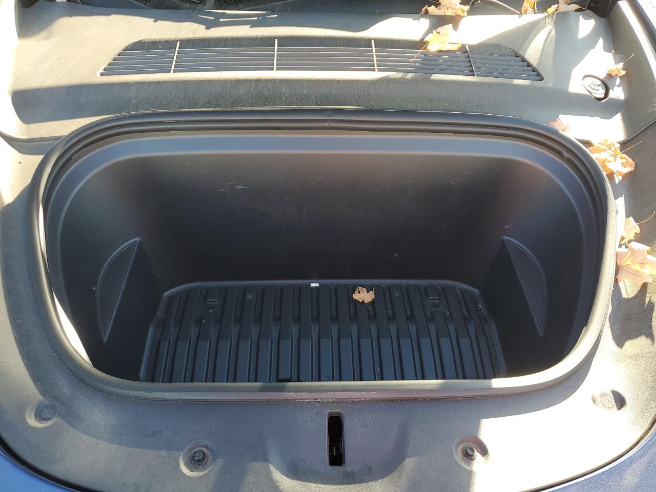 Tesla Model Y Image 12