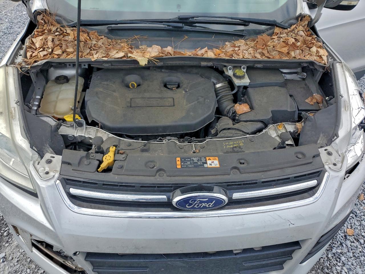 Ford Escape Titanium Image 8