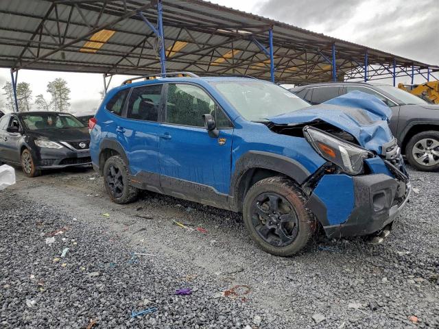 Subaru Forester Wilderness Image 10