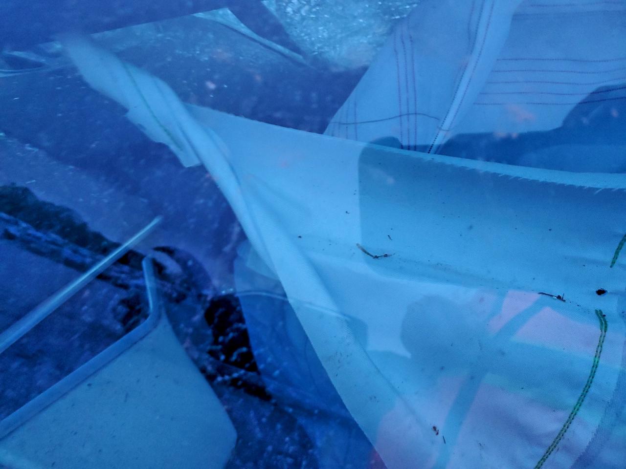 Toyota Corolla Se Image 11