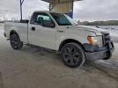 Ford F-150 Image 2
