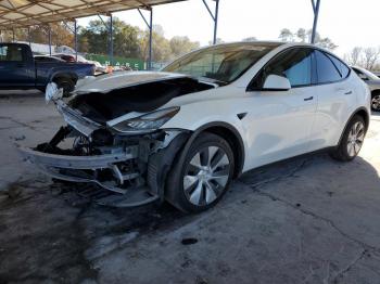 2022 Tesla Model Y 7SAYGDEE6NF******