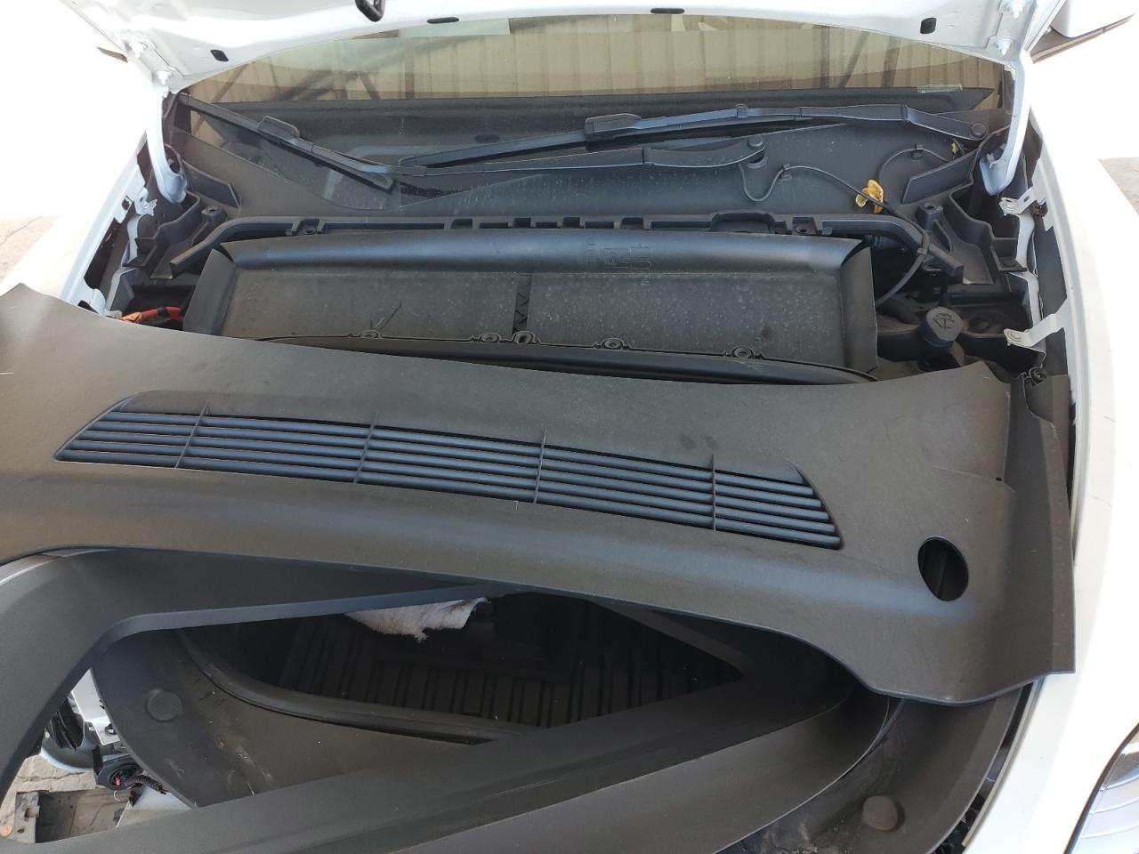 Tesla Model Y Image 4