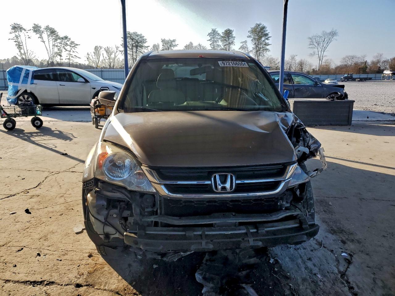 Honda Crv Exl Image 5