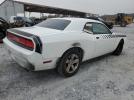 Dodge Challenger Image 12